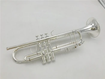 Buluke Best quality trumpet B Flat silver plated Professional Trumpet Musical Instruments with Case
Buluke Best quality trumpet B Flat silver plated Professional Trumpet Musical Instruments with Case