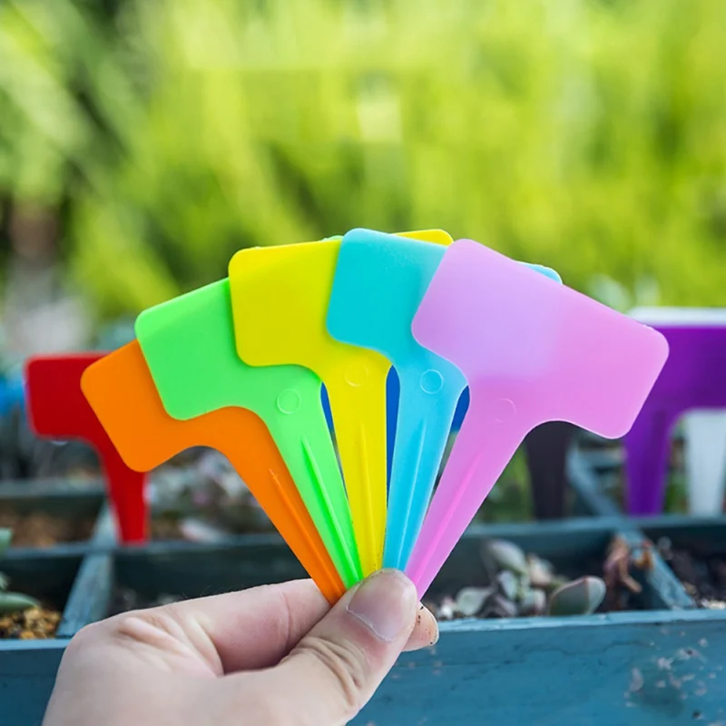 200PCS Gardening Flower Label Plant Label Succulent Plastic Color Mixed Color Randomly Issued
200PCS Gardening Flower Label Plant Label Succulent Plastic Color Mixed Color Randomly Issued