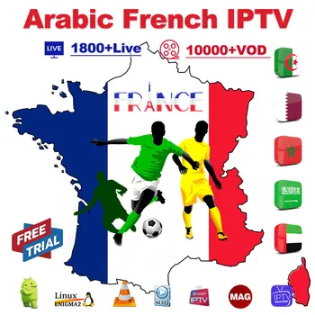 IPTV France Italy Canada Arabic Code IPTV Spain France Germany Arabic IPTV Subscription M3u Smarters IP TV Subscription French 
IPTV France Italy Canada Arabic Code IPTV Spain France Germany Arabic IPTV Subscription M3u Smarters IP TV Subscription French