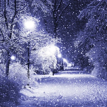 Diamond Painting Snowy Street Light Diamond Embroidery DIY Kit Rhinestones 3D Set Diamond Mosaic Needlework Handmade
Diamond Painting Snowy Street Light Diamond Embroidery DIY Kit Rhinestones 3D Set Diamond Mosaic Needlework Handmade