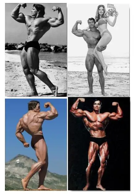 Lot Style Choose Bodybuilding Motivational Arnold Schwarzenegger Art Silk Print Poster
Lot Style Choose Bodybuilding Motivational Arnold Schwarzenegger Art Silk Print Poster