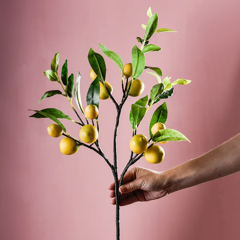 Single Simulated Fruit Fake Lemon Decor Fruit False Green Branch For Home Office Decoration Accessories Bouquet Art Craft
Single Simulated Fruit Fake Lemon Decor Fruit False Green Branch For Home Office Decoration Accessories Bouquet Art Craft