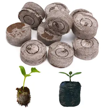 100pcs nursery block nutrition block compressed compressed peat block magic soil medium with packaging nursery block easy
100pcs nursery block nutrition block compressed compressed peat block magic soil medium with packaging nursery block easy