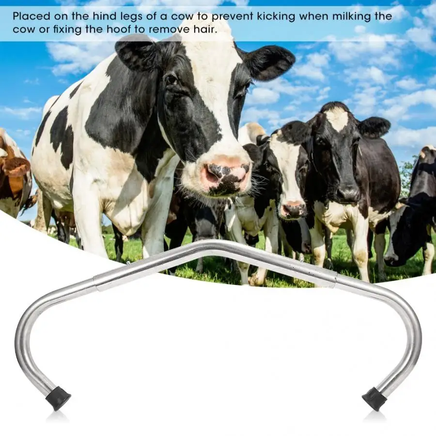 

Poultry Farming Adjustable Cattle Anti Kicking Stick Anti-Kick Off Device Rod Equipment Tools for Dairy Farm Cow Poultry