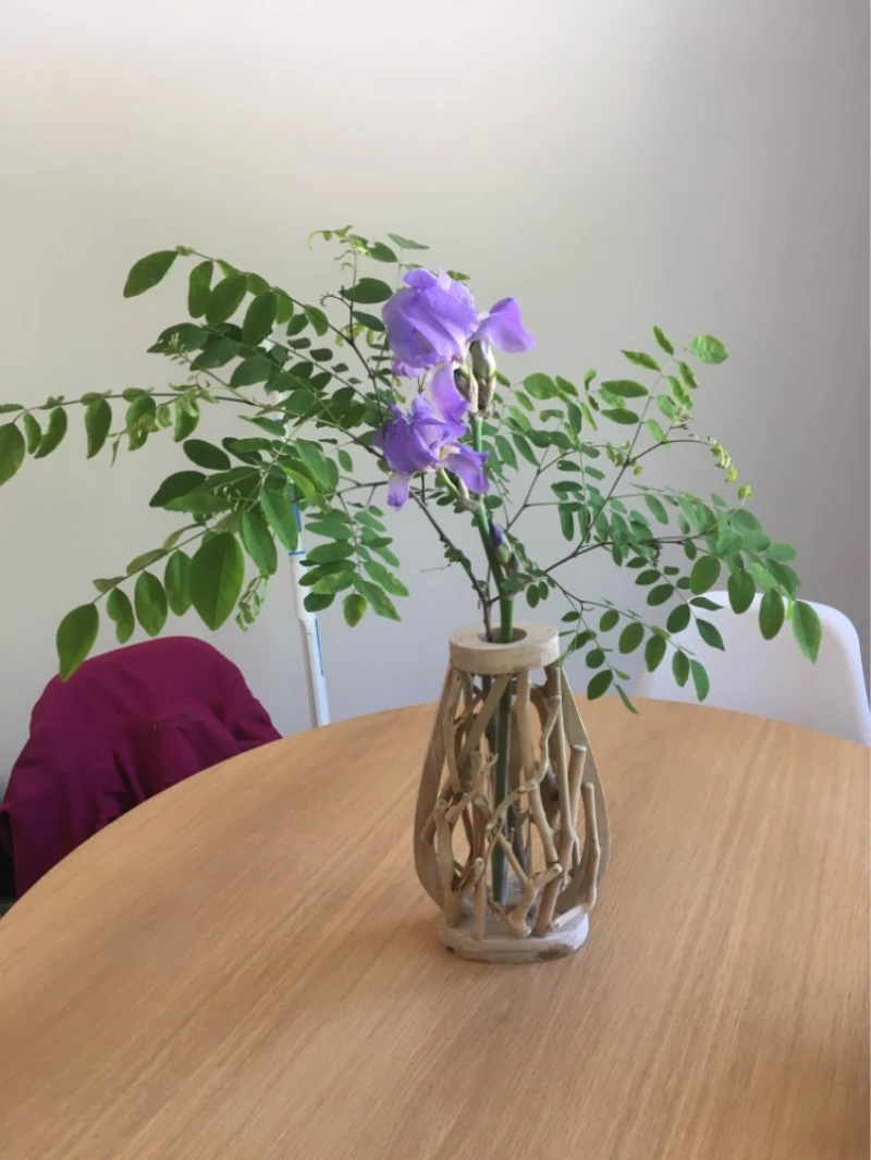 Pure Handwork Wooden Vase Decorated Solid Wood Flower Pot for Creative Glass Floral Hydroponic Container Home Decorative Vase
Pure Handwork Wooden Vase Decorated Solid Wood Flower Pot for Creative Glass Floral Hydroponic Container Home Decorative Vase