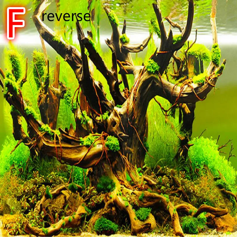 F2