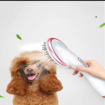 

Pet Hair Dryer Mute Dog Cat Special Water Blowing Machine Artifact Grooming for Dogs Electric Asciugatrice Secador 220Vdryer