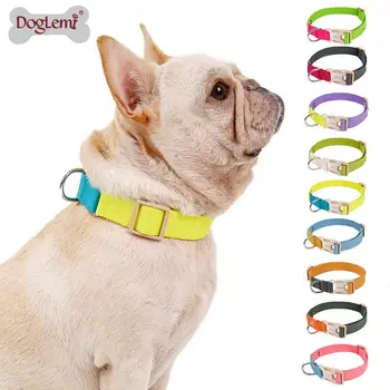 Fashion Dog Collar Ombre Color Designer Pet Collar Strap Walking Neck Collars for Dogs
Fashion Dog Collar Ombre Color Designer Pet Collar Strap Walking Neck Collars for Dogs
