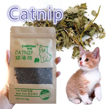 100% Natural Organic Premium Catnip Cat Toys Good Health Premium Catnip Safety Cat Kitten Catnip Funny Cat Toys Pet Products
100% Natural Organic Premium Catnip Cat Toys Good Health Premium Catnip Safety Cat Kitten Catnip Funny Cat Toys Pet Products
