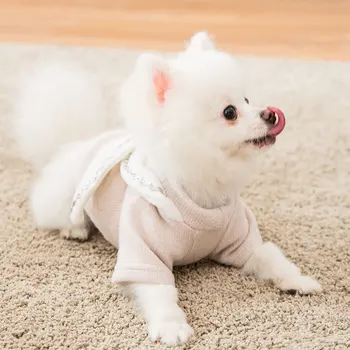 New cat clothes autumn cat clothes baby cat small milk cat hairless cat anti-hair hair pet sweater winter clothing
New cat clothes autumn cat clothes baby cat small milk cat hairless cat anti-hair hair pet sweater winter clothing
