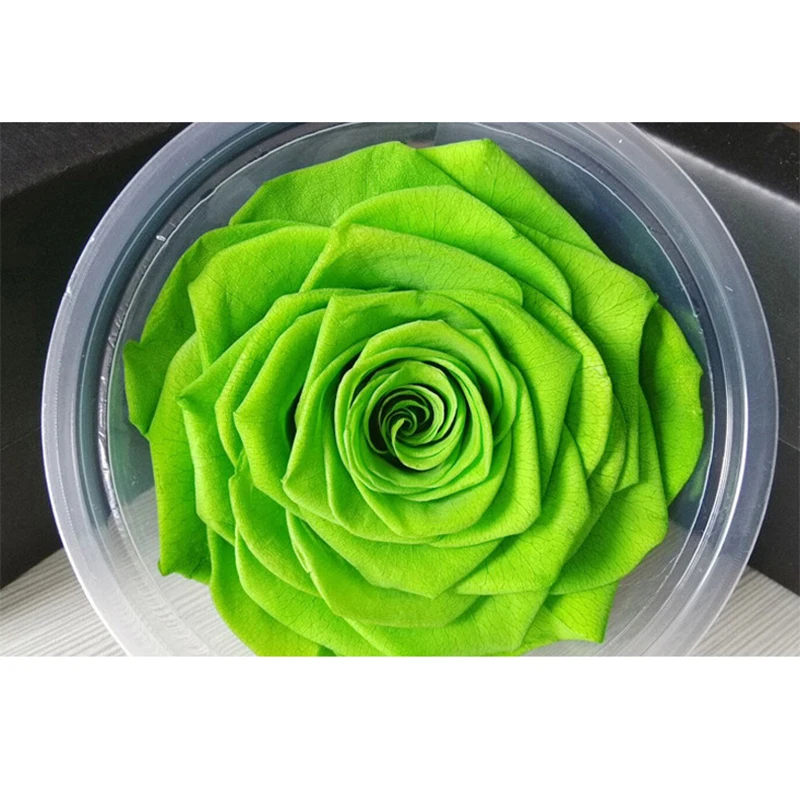 3pcs Preserved rose Flower forever Flowers Immortal Rose 8CM diameter Valentine's day gift Eternal Life Flower Material DIY
3pcs Preserved rose Flower forever Flowers Immortal Rose 8CM diameter Valentine's day gift Eternal Life Flower Material DIY