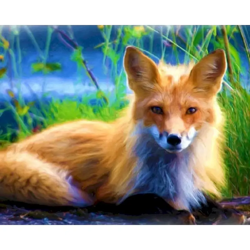 Paint By Numbers For Adults With Frame 40x50cm DIY Oil Digital Painting By Numbers Kits Animals Fox Acrylic Home Decors Art Gift
Paint By Numbers For Adults With Frame 40x50cm DIY Oil Digital Painting By Numbers Kits Animals Fox Acrylic Home Decors Art Gift