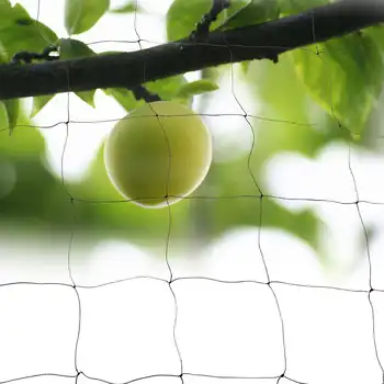 New Black Anti Bird Netting Mesh Fruit Crop Plant Tree Bird-Preventing Netting Garden Allotment Orchard Reusable Lasting Protect
New Black Anti Bird Netting Mesh Fruit Crop Plant Tree Bird-Preventing Netting Garden Allotment Orchard Reusable Lasting Protect