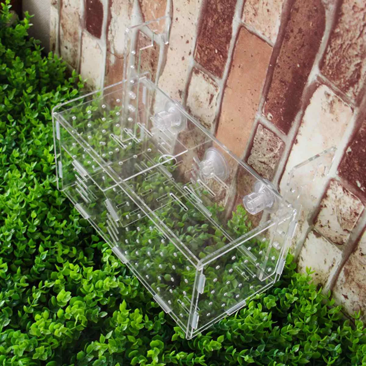 Hot 2 in 1 Fish Turtles Aquariums Acrylic Tortoise Isolation Box Fish Tank Baffle Easy Handle Fry Breeding Box Aquatic Pet Suppl
Hot 2 in 1 Fish Turtles Aquariums Acrylic Tortoise Isolation Box Fish Tank Baffle Easy Handle Fry Breeding Box Aquatic Pet Suppl