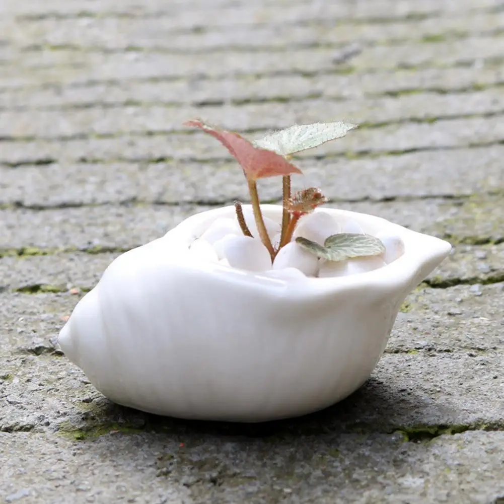 GloryStar 6PCS Mini Succulent Plants Pot White Shell Shape Ceramic Flowerpot Thumb Pots for Home Office Mall Decoration
GloryStar 6PCS Mini Succulent Plants Pot White Shell Shape Ceramic Flowerpot Thumb Pots for Home Office Mall Decoration