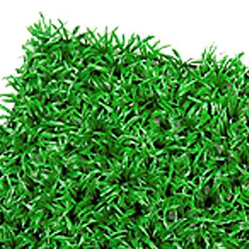 Plastic fish tank aquarium Grass Lawn Artificial Landscape, Green
Plastic fish tank aquarium Grass Lawn Artificial Landscape, Green