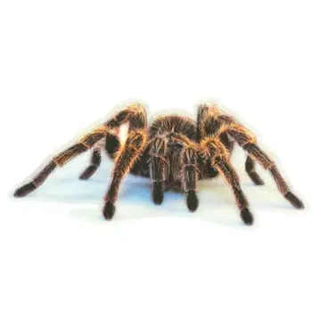 3D Spider Lizard Scorpion Car Sticker 3D animal pattern Vehicle Window Mirror Bumper Decal Decor Water-resistant
3D Spider Lizard Scorpion Car Sticker 3D animal pattern Vehicle Window Mirror Bumper Decal Decor Water-resistant