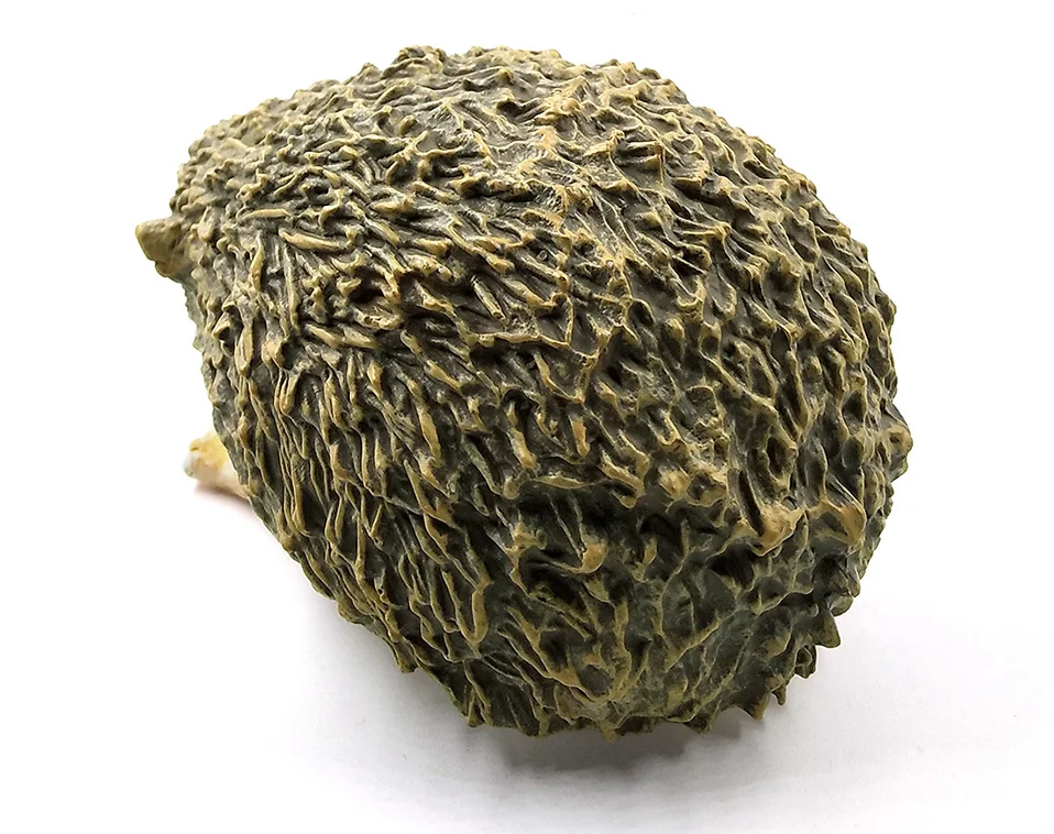 详情页-1款-超大刺猬_04