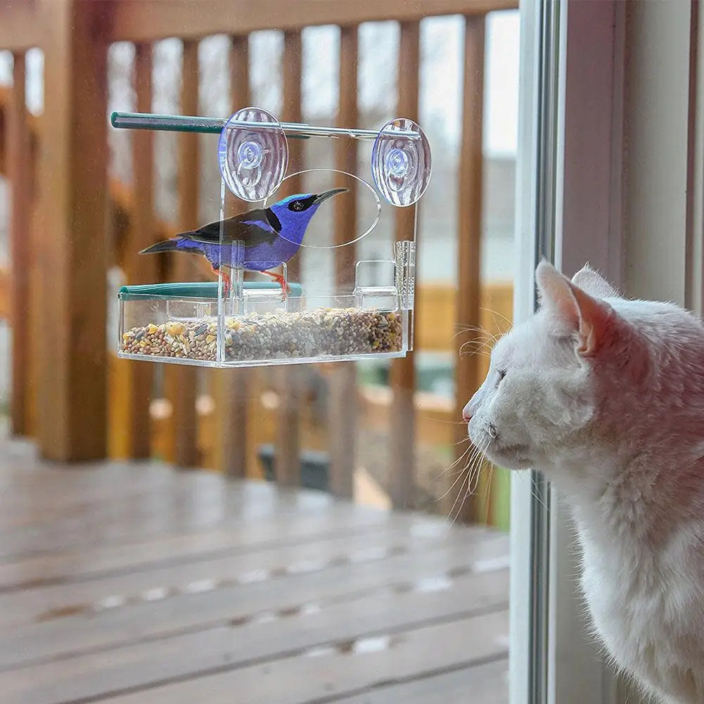 Acrylic Transparent Bird Feeder Window Viewing Bird Feeders Tray Birdhouse Suction Cup Mount House Type Feeder Birdhouse Kit
Acrylic Transparent Bird Feeder Window Viewing Bird Feeders Tray Birdhouse Suction Cup Mount House Type Feeder Birdhouse Kit