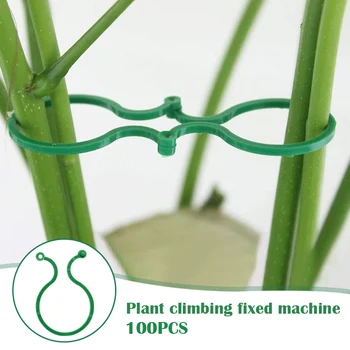 100 Pcs Vines Climbing Hook Fixture Holder Fixer Accessories for Gardening Plant THJ99
100 Pcs Vines Climbing Hook Fixture Holder Fixer Accessories for Gardening Plant THJ99