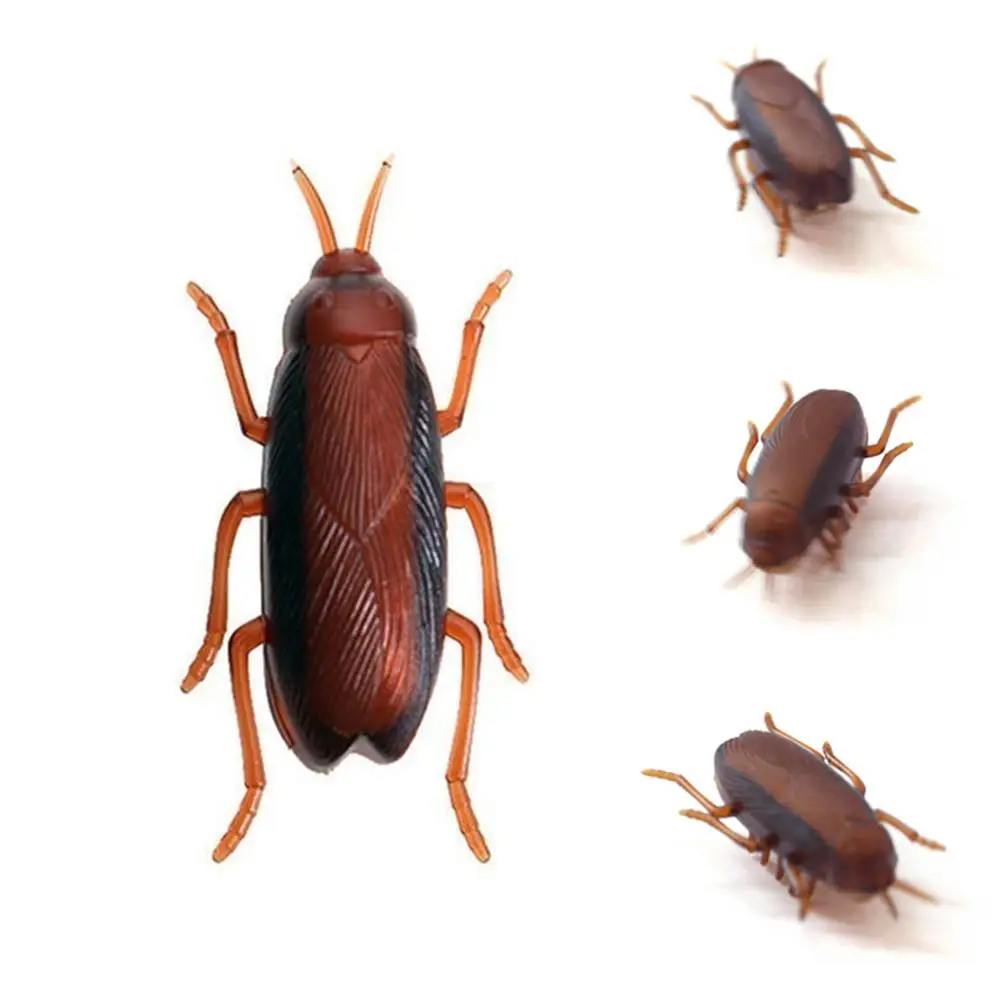 1Pc Simulation Electronic Insect Vibration Toy rick-Playing Toy Simulation Insect Crawl Cockroach Vibration Toy
1Pc Simulation Electronic Insect Vibration Toy rick-Playing Toy Simulation Insect Crawl Cockroach Vibration Toy