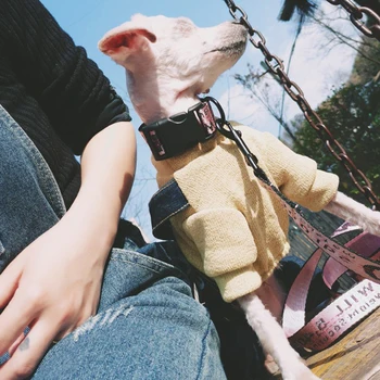 Fashion Nylon Pet Dog Collars Leads,Dogs Leash Set For Small Medium Dogs and Cats,More Colours
Fashion Nylon Pet Dog Collars Leads,Dogs Leash Set For Small Medium Dogs and Cats,More Colours