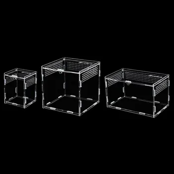 7X8X10CM Transparent Reptile Breeding Box Acrylic Feeding Box 360 Degree High Transparent Magnetic Pet Climbing Terrarium
7X8X10CM Transparent Reptile Breeding Box Acrylic Feeding Box 360 Degree High Transparent Magnetic Pet Climbing Terrarium