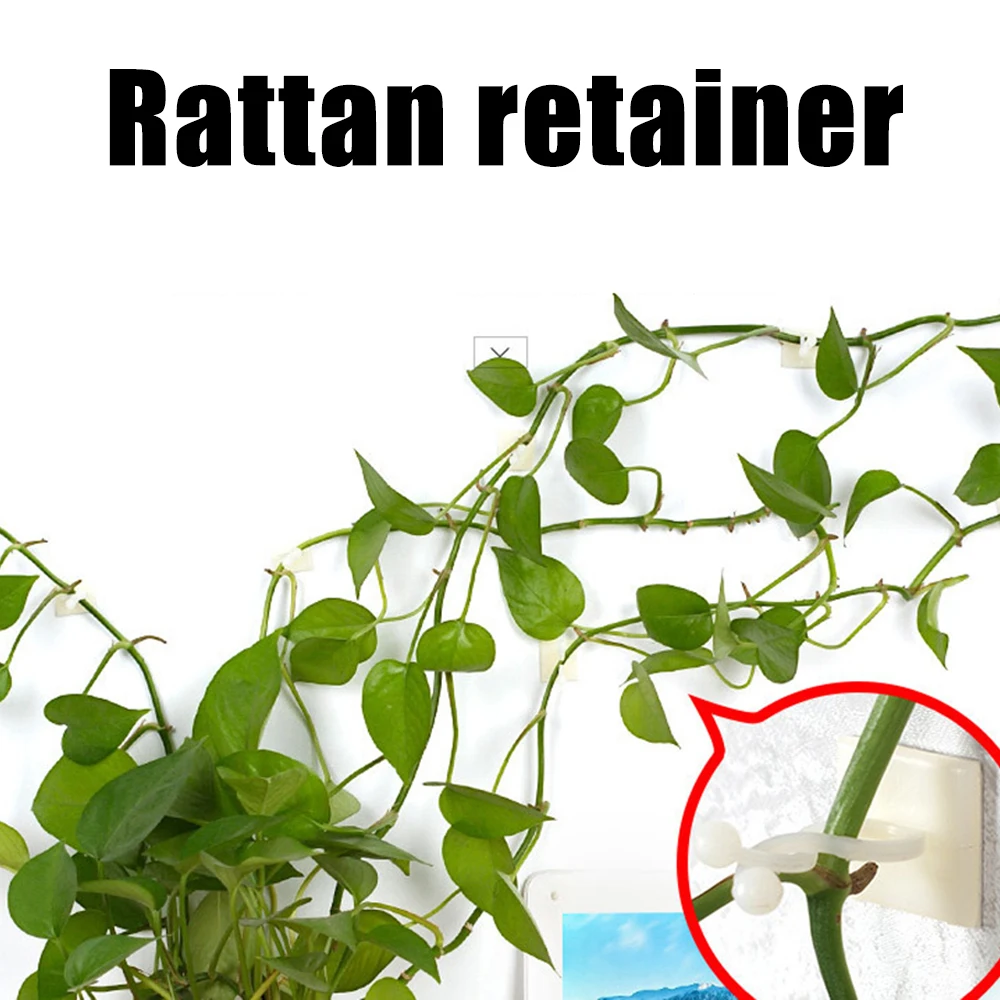 10pcs Plant Tomato Fixing Clips Invisible Wall Rattan Clamp Orchid Fixing Plant Climbing Wall Clips Plant Tie Garden Accessories
10pcs Plant Tomato Fixing Clips Invisible Wall Rattan Clamp Orchid Fixing Plant Climbing Wall Clips Plant Tie Garden Accessories
