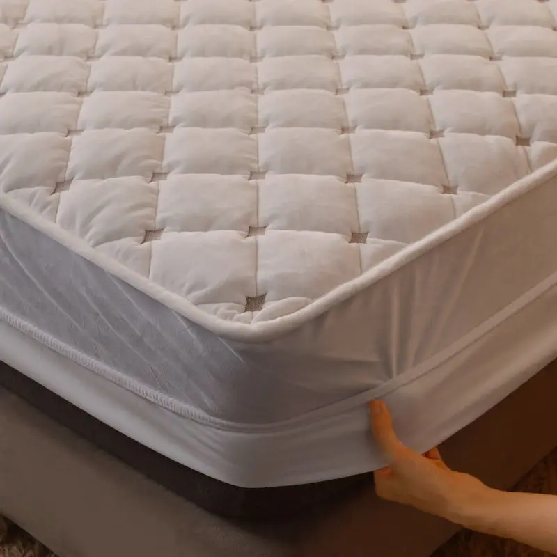 Thicken Quilted Coral Fleece Mattress Cover Solid Color Embroidery Mattress Cover Velvet Bed Pad Cover Not Including Pillowcase
Thicken Quilted Coral Fleece Mattress Cover Solid Color Embroidery Mattress Cover Velvet Bed Pad Cover Not Including Pillowcase