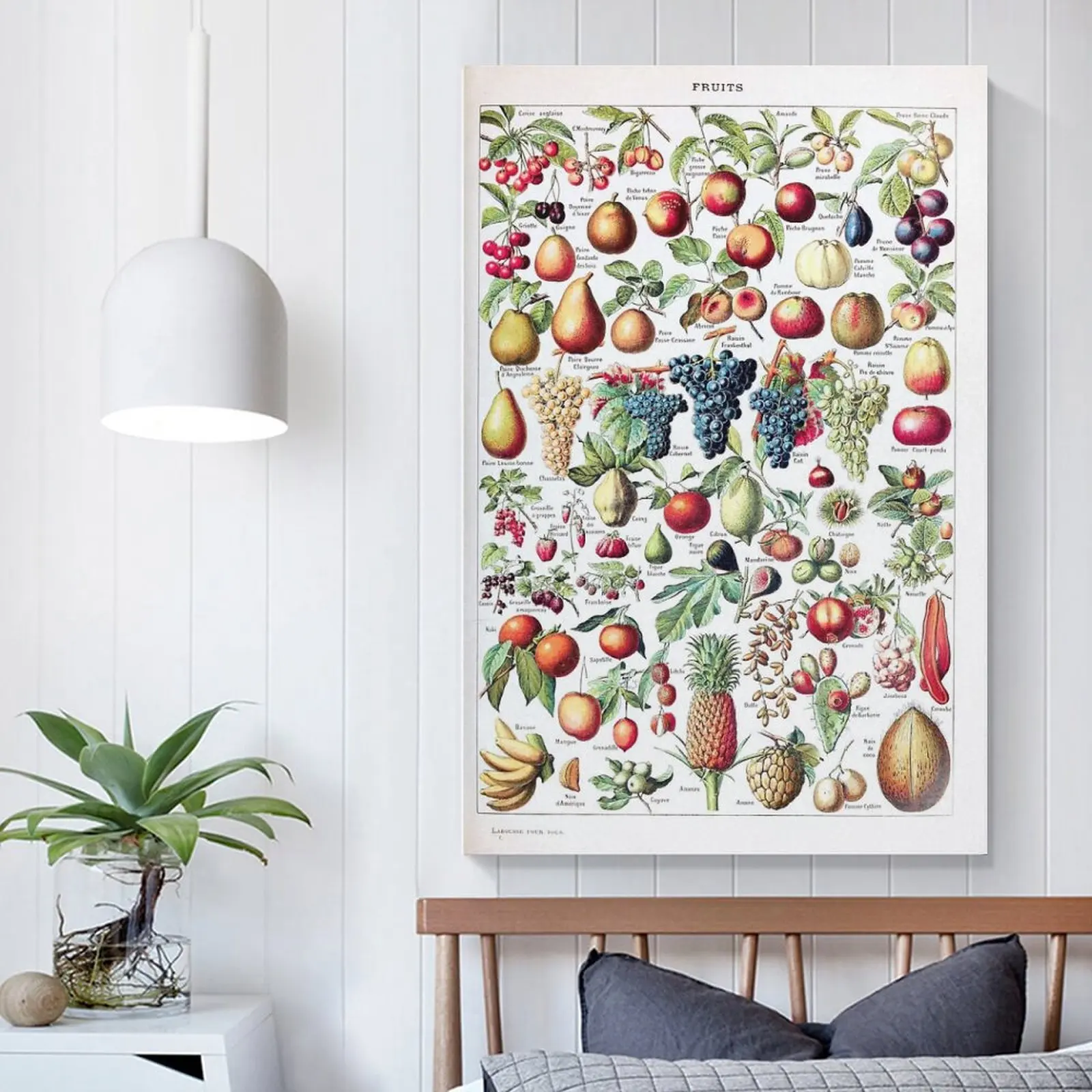 Adolphe Millot - Fruits Pour Anime Poster Home Decor Painting Art Nordic By Numbers | Дом и сад