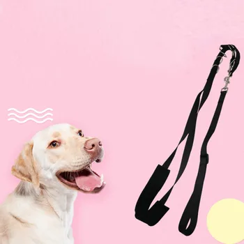 Adjustable Dog Leash Durable Nylon Pet Noose Loop Lock Clip Rope Dogs Grooming Harness Arm Bath Restraint Rope Dog Supplies
Adjustable Dog Leash Durable Nylon Pet Noose Loop Lock Clip Rope Dogs Grooming Harness Arm Bath Restraint Rope Dog Supplies