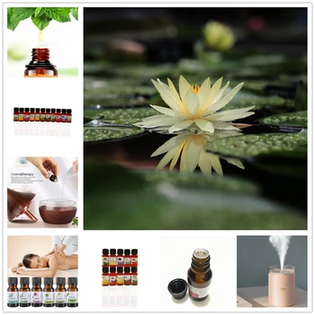 10 Kinds Essential Oils ball moss Aromatherapy Oil for aroma Diffuser Humidifier Fragrance of Flower fragrance oil 10ml/Pcs
10 Kinds Essential Oils ball moss Aromatherapy Oil for aroma Diffuser Humidifier Fragrance of Flower fragrance oil 10ml/Pcs