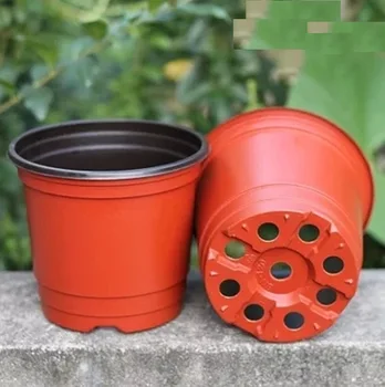 100pcs Plastic Planting Pots Seed Starter Grow Nursery Flower Herb Plant Plastic Plant Pots 100 Red And Black Nursery Pots Tran
100pcs Plastic Planting Pots Seed Starter Grow Nursery Flower Herb Plant Plastic Plant Pots 100 Red And Black Nursery Pots Tran