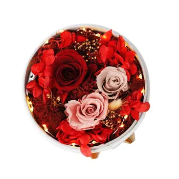Red Silk Rose That Lasts Forever in a Glass Dome for Valentine's Day Wedding
Red Silk Rose That Lasts Forever in a Glass Dome for Valentine's Day Wedding