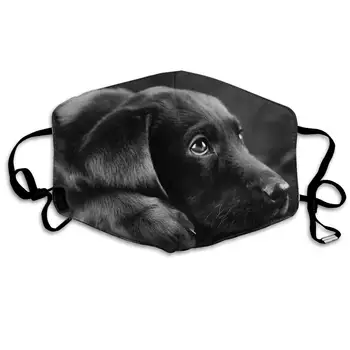 Mouth Mask for Daily Dress Up, Lovely Black Labrador Dog Anti-dust Mouth-Muffle, Washable Reusable Holiday Half Face Masks for
Mouth Mask for Daily Dress Up, Lovely Black Labrador Dog Anti-dust Mouth-Muffle, Washable Reusable Holiday Half Face Masks for