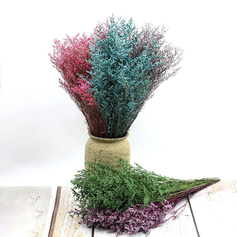 100G Natural Plant Lover Grass Dried Flowers Not Wither Furniture Decoration Table Dekoration Wedding Scene Layout Home Decor
100G Natural Plant Lover Grass Dried Flowers Not Wither Furniture Decoration Table Dekoration Wedding Scene Layout Home Decor