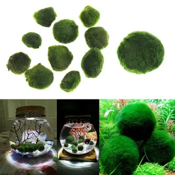 Fish Tank Green Moss Balls Decorative Aquarium Artificial Moss Rocks Faux Moss Covered Stones Toy for Betta Fish Plants Ornament
Fish Tank Green Moss Balls Decorative Aquarium Artificial Moss Rocks Faux Moss Covered Stones Toy for Betta Fish Plants Ornament