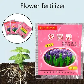 Carbendazim Bulbs bonsai Plants Roots Growth Hormone Fertilizer Pesticides Sterilization Drugs Pharmacy Fungicides Insectic L1Y3
Carbendazim Bulbs bonsai Plants Roots Growth Hormone Fertilizer Pesticides Sterilization Drugs Pharmacy Fungicides Insectic L1Y3