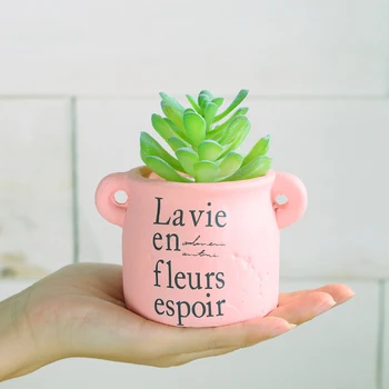 Simulation of Small Potted Plants INS Pink Flower Vase Table Flowerpot Home Wedding Decoration For Flowers Planter Dropshipping
Simulation of Small Potted Plants INS Pink Flower Vase Table Flowerpot Home Wedding Decoration For Flowers Planter Dropshipping