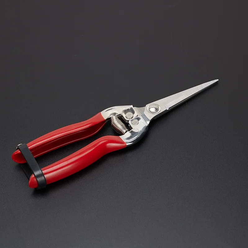 Rose Cippers Bonsai Gardening Secateurs Grafting Tool Pruner Pruning Shears Scissors Horticulture Fruit Tree Shears
Rose Cippers Bonsai Gardening Secateurs Grafting Tool Pruner Pruning Shears Scissors Horticulture Fruit Tree Shears