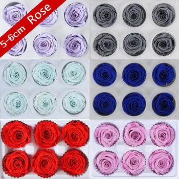 5-6CM/6pcs,Grade A Preserved Rose Flowers Box,Valentines Day Gift Favor,Beauty and The Beast Eternal Rose Heads,Wedding Decor
5-6CM/6pcs,Grade A Preserved Rose Flowers Box,Valentines Day Gift Favor,Beauty and The Beast Eternal Rose Heads,Wedding Decor