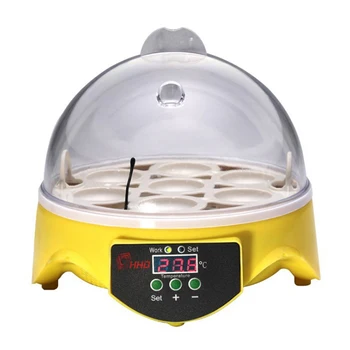 Mini 7 Egg Automatic Incubator New Cheap Price China Digital Temperature Small Brooder Small Chicken Bird Egg Hatchers Incubator
Mini 7 Egg Automatic Incubator New Cheap Price China Digital Temperature Small Brooder Small Chicken Bird Egg Hatchers Incubator