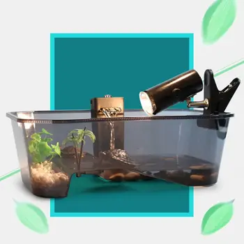 Reptile Vivarium Box Turtle Tortoise Habitat with Basking Ramp Aquarium Tank Breeding Food Tool Accessories
Reptile Vivarium Box Turtle Tortoise Habitat with Basking Ramp Aquarium Tank Breeding Food Tool Accessories