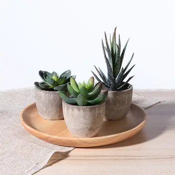OUNONA 3pcs Decorative Faux Succulent Artificial Succulent Fake Simulation Plants with Pots
OUNONA 3pcs Decorative Faux Succulent Artificial Succulent Fake Simulation Plants with Pots