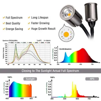 ZBGL0301 Dual Head Flexible Gooseneck LED Grow Light for Indoor Plants Sunlike X6HC
ZBGL0301 Dual Head Flexible Gooseneck LED Grow Light for Indoor Plants Sunlike X6HC