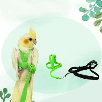 Colorful Parrot Bird Rope Parrot Bird Leash Adjustable Harness Training Rope Flying Cross Band Pet Stand Training Accessories
Colorful Parrot Bird Rope Parrot Bird Leash Adjustable Harness Training Rope Flying Cross Band Pet Stand Training Accessories