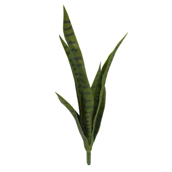 1pc 5 Forks Sansevieria Trifasciata Bonsai Succulent Plants Tiger Piran Flower Plant
1pc 5 Forks Sansevieria Trifasciata Bonsai Succulent Plants Tiger Piran Flower Plant