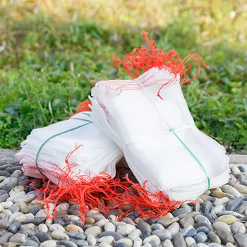 10pcs/set Garden Mesh Grow Bags Nylon Fruit Mesh Bags Drawstring Vegetables Protection Bag Multifunction Supermarket Reusable
10pcs/set Garden Mesh Grow Bags Nylon Fruit Mesh Bags Drawstring Vegetables Protection Bag Multifunction Supermarket Reusable