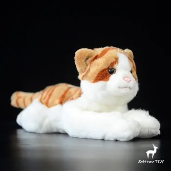 Soft toy lying Tabby cats doll real life plush tiger cat dolls gifts for girlfriend toys shop
Soft toy lying Tabby cats doll real life plush tiger cat dolls gifts for girlfriend toys shop
