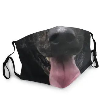 Black Dog Animal Face Non-Disposable Face Mask Printed PM2.5 Anti Haze Dust Mask Protection Cover Respirator Mouth Muffle
Black Dog Animal Face Non-Disposable Face Mask Printed PM2.5 Anti Haze Dust Mask Protection Cover Respirator Mouth Muffle
